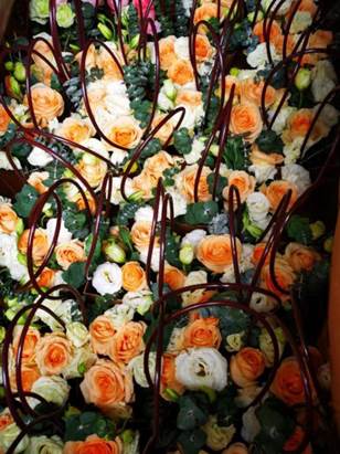 a72b8172db948055e2bf146a2b4ee73